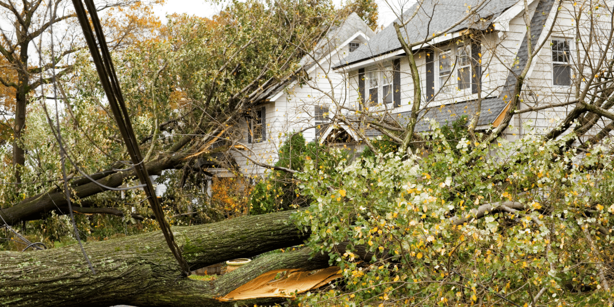 Trees Falling on Home - Homeowners Insurance Costs are Surging