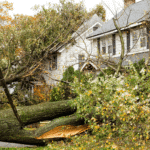 Trees Falling on Home - Homeowners Insurance Costs are Surging