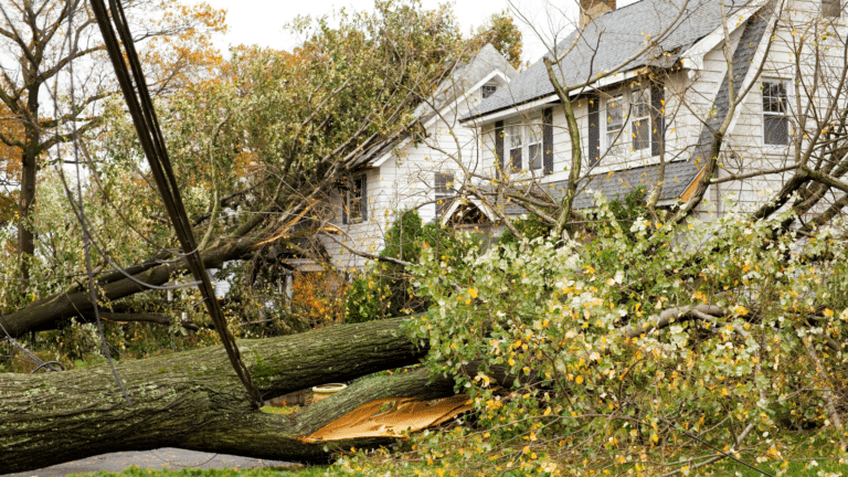 Trees Falling on Home - Homeowners Insurance Costs are Surging